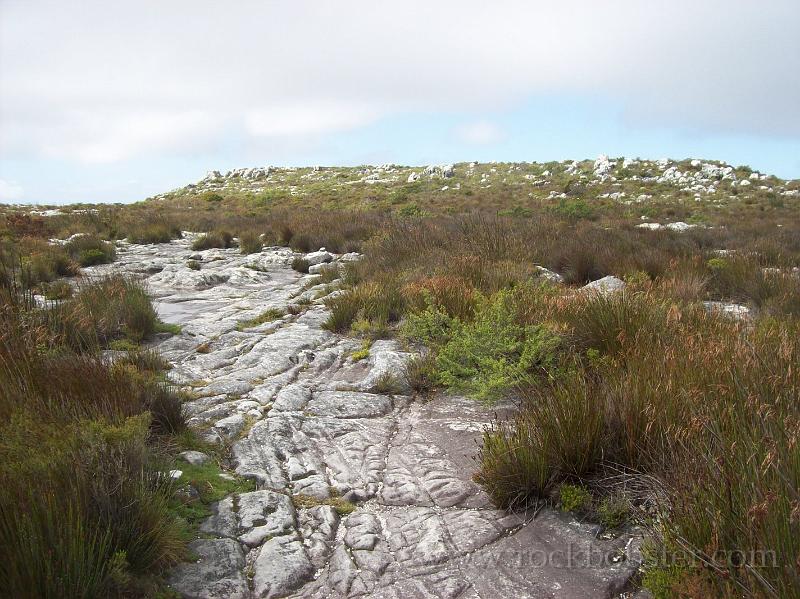 Africa_20100422_108_Cape_Town_Table_Mountain.jpg