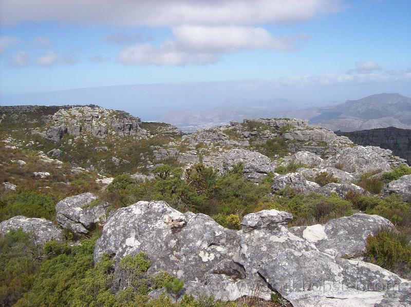 Africa_20100422_126_Cape_Town_Table_Mountain.jpg