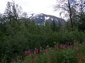 Alaska_Trip_20070816_288_Portage