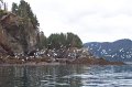 Alaska_Trip_20070818_054_Homer_Kayaking